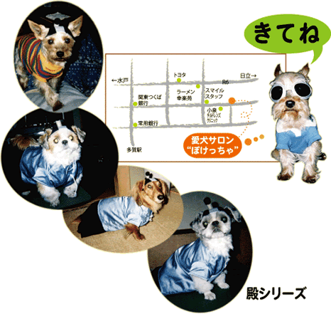 �����s���꒬