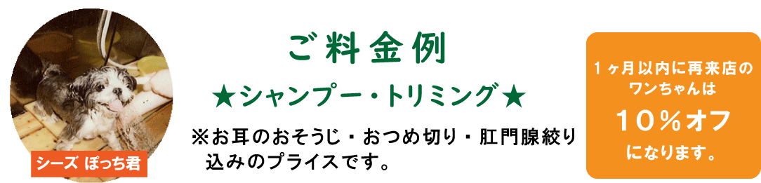 愛犬サロンぽけっちゃ