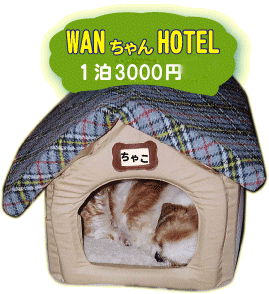 愛犬サロンぽけっちゃ