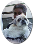 愛犬サロンぽけっちゃ  サロ