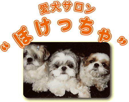 愛犬サロンぽけっちゃ